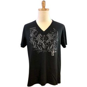 Express Lions and Wreath Chevron Print Graphic V-Neck Tee